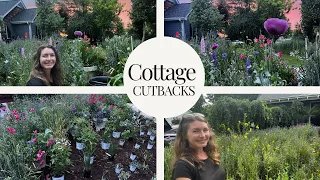 Cottage Garden Cutbacks