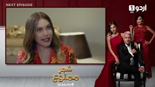 Shajar-e-Mamnu | Episode 355 Teaser | Turkish Drama | Forbidden Fruit | Urdu Dubbing | 19 April 2022