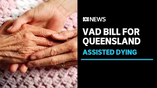 QLD govt to introduce voluntary assisted dying legislation into parliament next week | ABC News