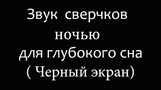 Звук ночных сверчков  для сна, учебы, медитации (Черный экран)