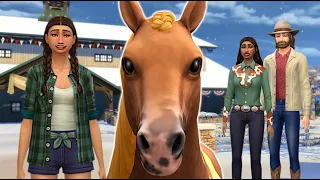 Can a family survive on a horse income? // Sims 4 horse income