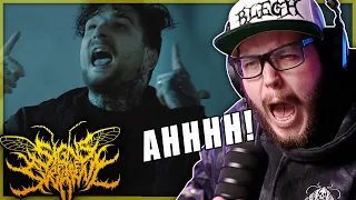 BRUHHHH! SIGNS OF THE SWARM - Amongst the Low & Empty // Reaction