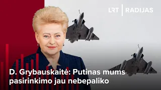 Grybauskaitė skatina NATO gynybą vertinti racionaliai: kiti pagalbon ateis tada, kai patys apsiginsi