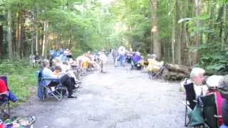 Fancy Fireflies in Smoky Mountains