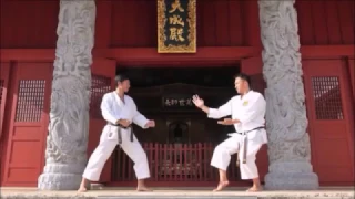 Seeking the origins osf Karate - Naka Tatsuya Sensei