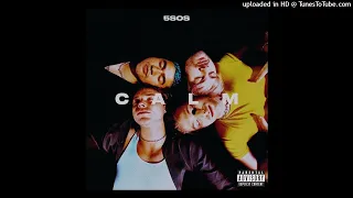 5 Seconds Of Summer - Lover Of Mine (Instrumental)