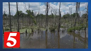 Law enforcement rescue Algood woman with intellectual disabilities who was stuck in a swamp