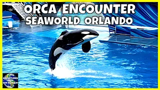 Thrilling Orca Encounter: Meet The Killer Whales Of #SeaWorld Orlando!  FULL SHOW