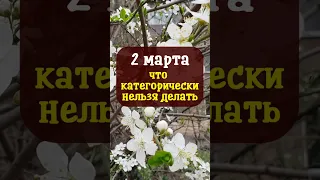 2 марта народный праздник день Кикиморы. Что категорически нельзя делать. Народные приметы