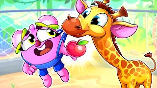 Let's Go to the Zoo Song 😻🐨🐰🦁 | Funny Kids Songs And Nursery Rhymes by Baby Zoo