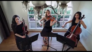 Can't Help Falling in Love (Elvis) - Organic String Quartet - Wedding String Trio