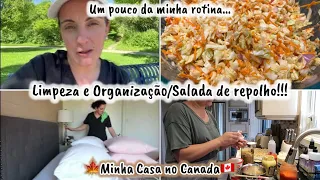 VLOG|Tudo se faz...Limpeza e Organização/Um pouco da minha rotina/Salada de Repolho e mais...