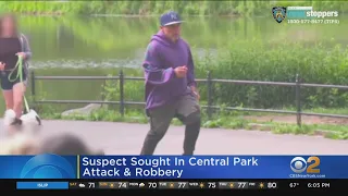 Suspect Sought In Central Park Attack, Robbery