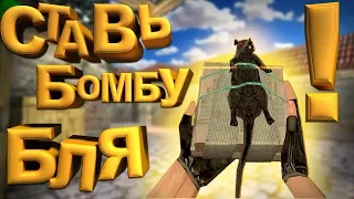 СТАВЬ БОМБУ БЛЯ ! / убиваю ВСЕХ, даже своих ( CS:GO | cs 1.6 ) САНТЕХНИК