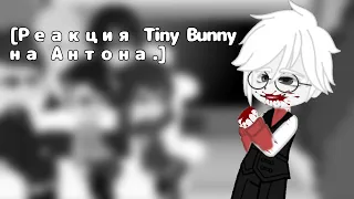 [~Реакция Tiny Bunny на Антона~]. (Ветка изгоя). см. на 0,75x (попытка 3.)