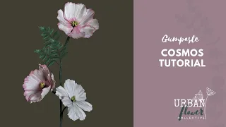 How to make a quick & easy gumpaste / flower paste / sugar Cosmos Tutorial