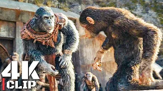 4K CLIP | Noa Meets King Proximus Caesar | KINGDOM OF THE PLANET OF THE APES (2024)