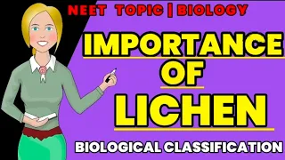 Importance of lichen - Biological Classification | class 11| NEET | biology