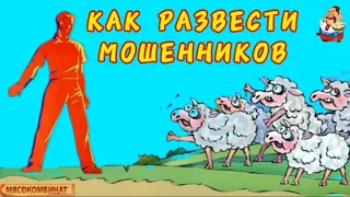 КАК РАЗВЕСТИ МОШЕННИКОВ.