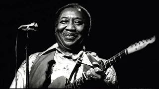 Muddy Waters Live Geary Theatre San Francisco 5:14:77 KSAN broadcast