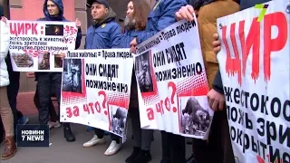 Одесити зібрались на мітинг проти використання тварин у цирках