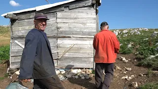 U PLANINI  PRVO  POMUZEMO  OVCE PA  KRAVE  I ONDA SMO  RAHAT