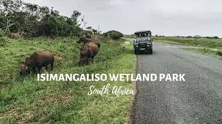 iSimangaliso Wetland Park, South Africa