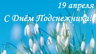 С Днём Подснежника! 19 апреля.