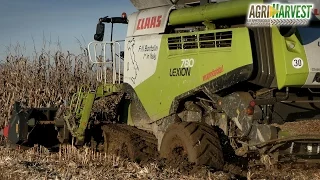 Claas Lexion 780 TT stuck in MUD