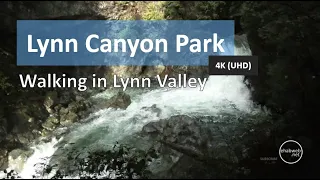 Lynn Canyon Park - North Vancouver in 4K (UHD)