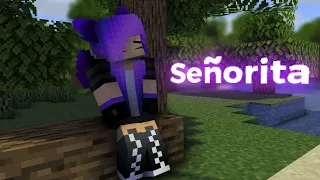 Señorita - Short Minecraft animation