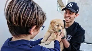 UNA SORPRESA PARA THIAGO !! - Robleis