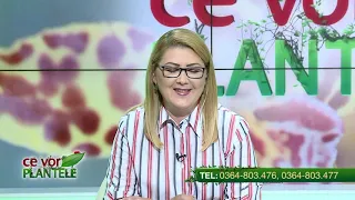 CE VOR PLANTELE, Cristina Ghibu | 16.06.2021, partea 1