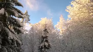 Finlandia performed by YL Male Voice Choir