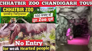 Chhatbir zoo in chandigarh - chattbir zoo chandigarh zoo ticket price 2024 | Chandigarh chidiya ghar
