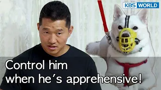 Control him when he's apprehensive! [Dogs are incredible : EP.139-2] | KBS WORLD TV 220913