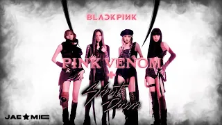 BLACKPINK - INTRO + PINK VENOM + INTRO + SHUT DOWN (Award Show Perf. Concept)