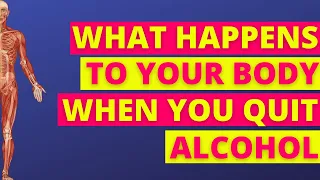 What Happens To Your Body When You Stop Drinking