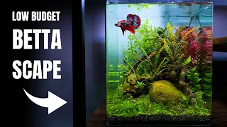 CAN I BUILD A NANO AQUASCAPE FOR 100 EUROS? Low Budget Betta Aquarium