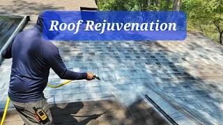 Actual Spray Application of Asphalt Shingle Rejuvenation by No Mess Roofing