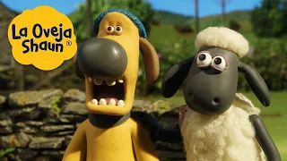 La Oveja Shaun 🐑 Perro sorprendido 🐑 Dibujos animados para niños
