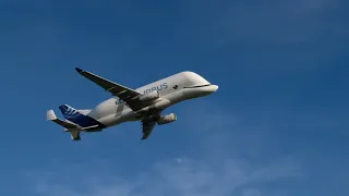 Beluga XL - Broughton Fly Past (4K)