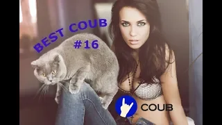 BEST COUB ЖИВОТНЫЕ | COUB ANIMALS