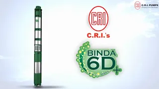 C.R.I. Binda 6D+ | Borewell Submersible Pumps
