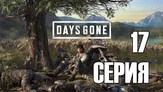 Days Gone - фильм / игрофильм, серия 17 (прохождение,все катсцены дейс гон)