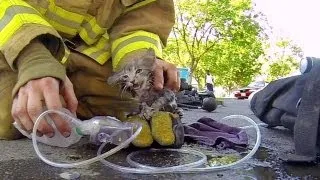 GoPro: Fireman Saves Kitten