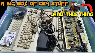 Checking out a big container of Commodore 64 stuff
