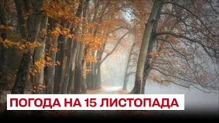 Погода на 15 листопада: прогноз по Україні
