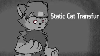 | Static Cat Transfur |