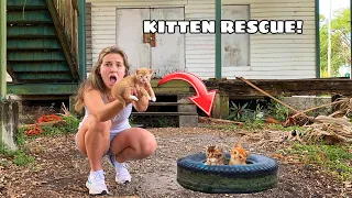 RESCUED KITTENS FOUND AT ABANDONED HOUSE!